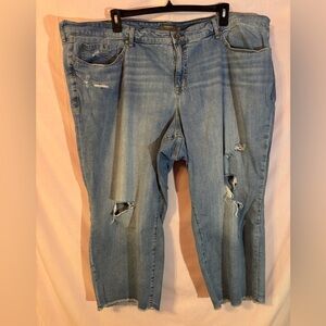 Torrid Crop Boyfriend Vintage Stretch